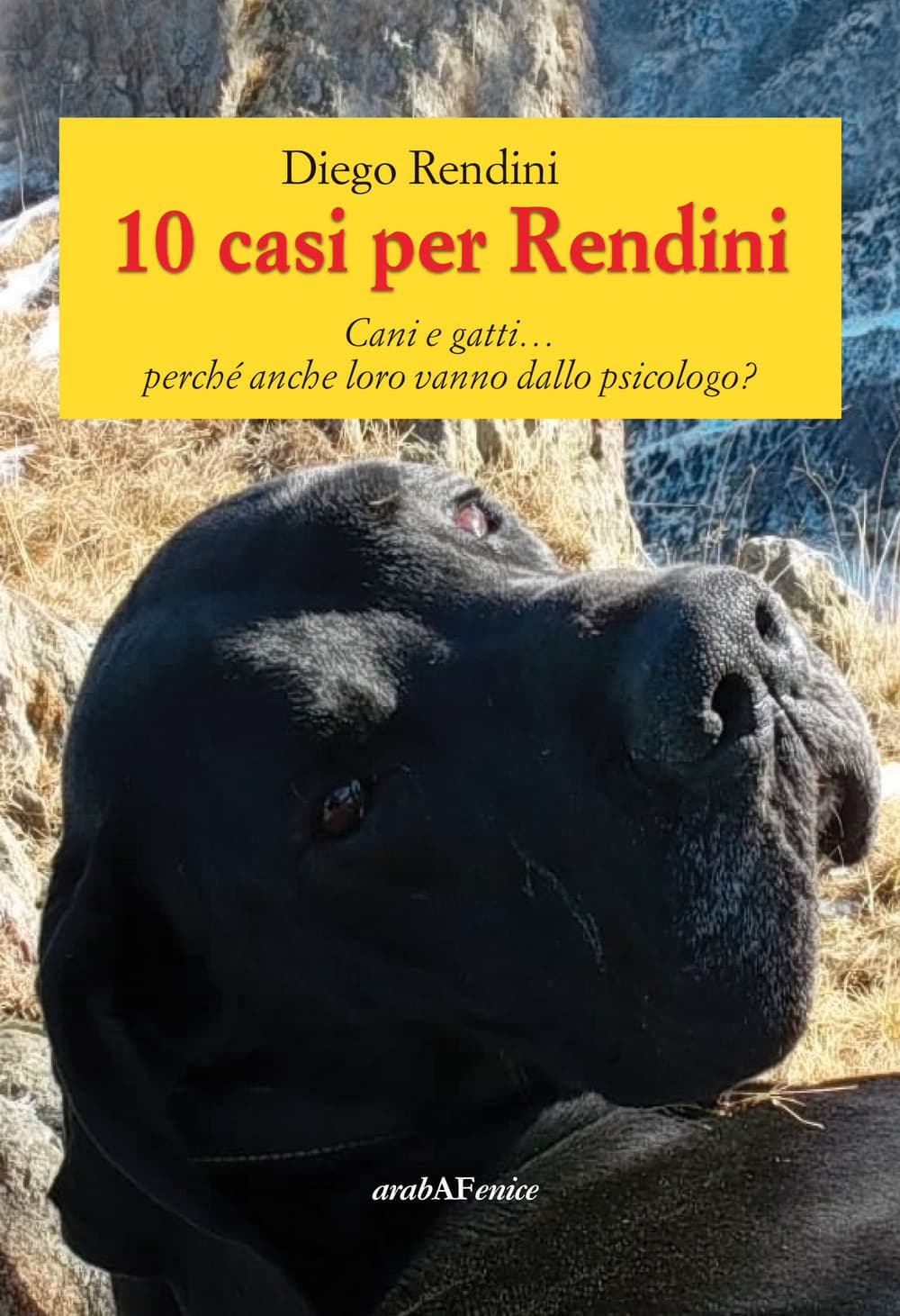 10 casi per Rendini. Cani e gatti... perché anche loro vanno dallo psicologo?