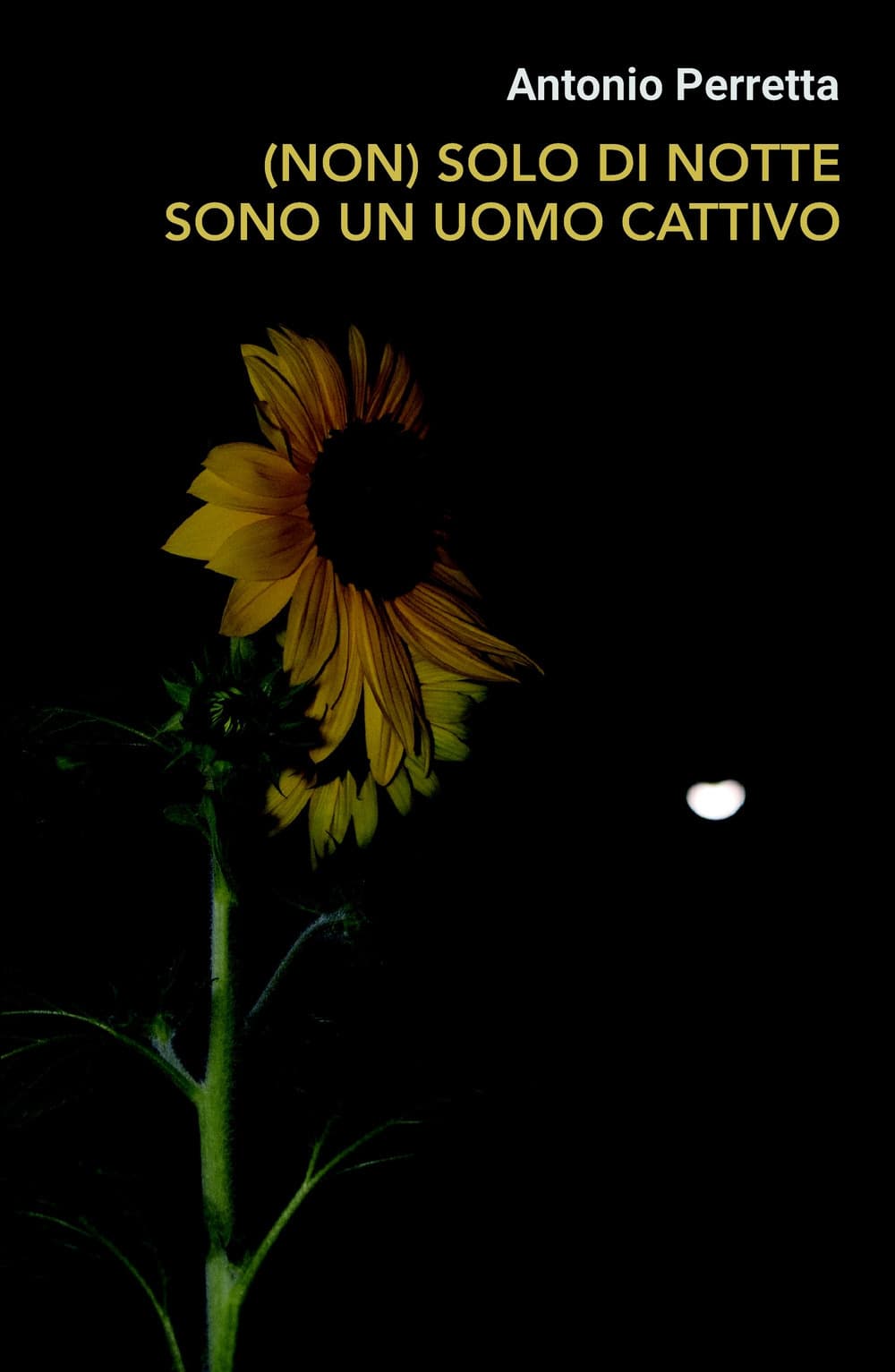 (non) solo di notte sono un uomo cattivo