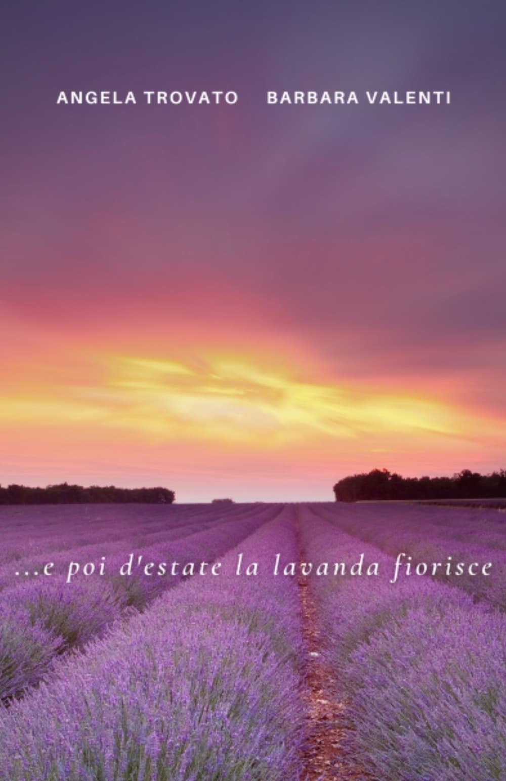 ... e poi d'estate la lavanda fiorisce