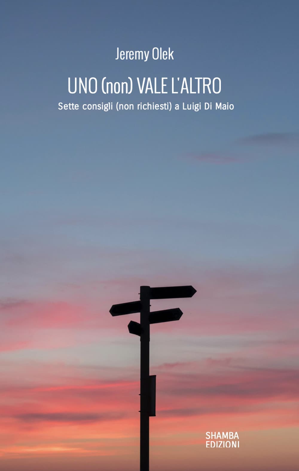 (non) vale l'altro. Sette consigli (non richiesti) a Luigi Di Maio